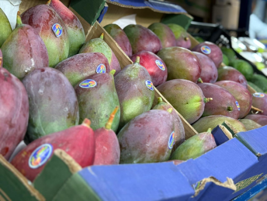 Mangas Palmer Frutamina